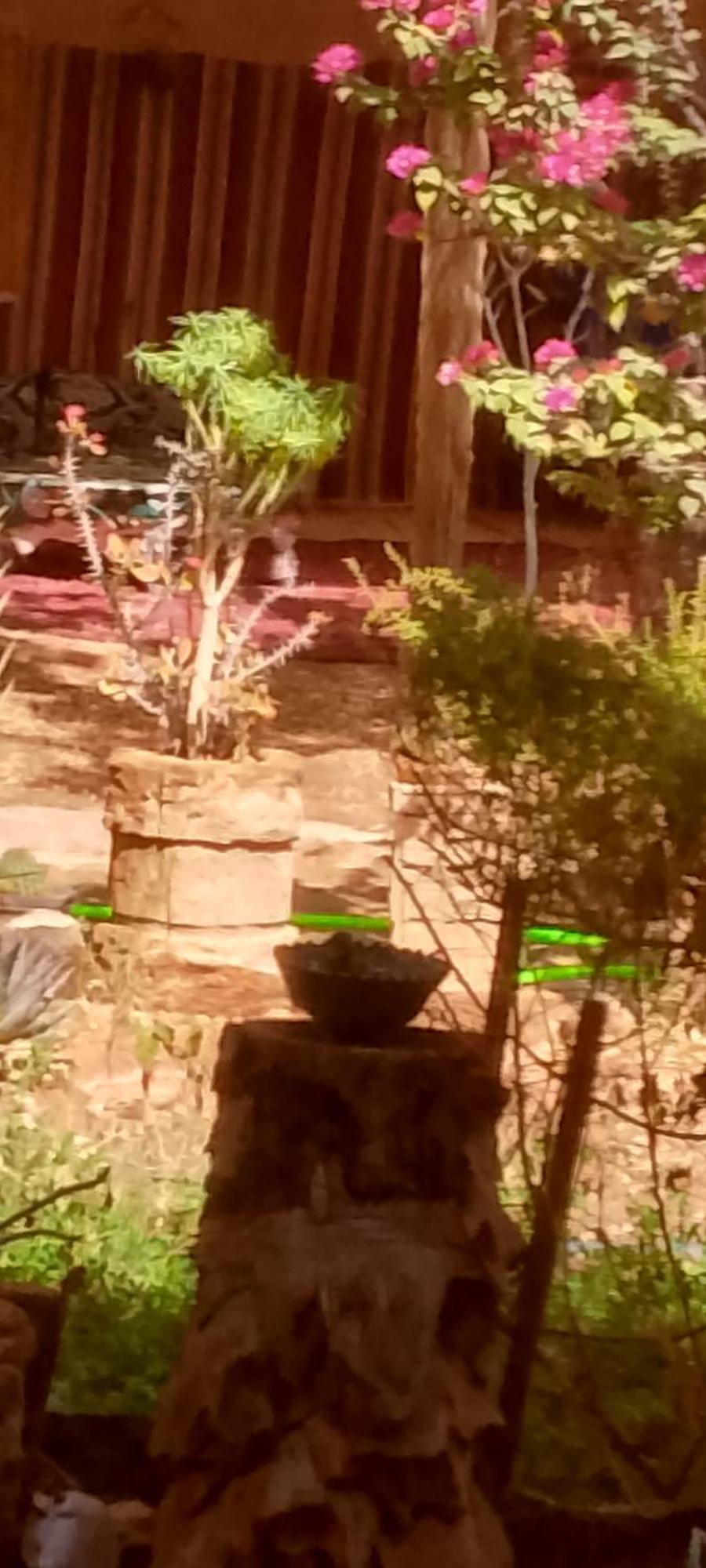 Auberge Aain Nakhla Guelmim Esterno foto