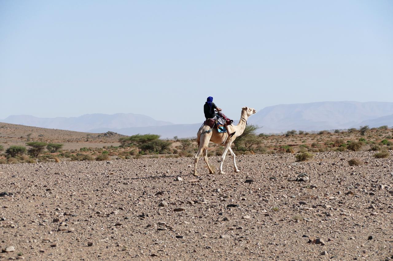 Auberge Aain Nakhla Guelmim Esterno foto